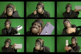 DIGITAL NATIVE (2020) Video Still, Nadia J. Armstrong