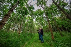 ReViewing Ireland: a photo study of Ireland's environment. Ash Dieback and Social Farming. Photograph: Paula T Nolan. Reproduced courtesy of the National Library of Ireland.
