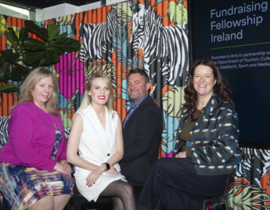 Pictured left to right:Letitia Stepenske, Assistant Principal Officer, Dept of Tourism, Culture, Arts, Gaeltacht, Sport & Media, Cecelia Molumby, Development Officer, Sing Ireland, Niall Cleary, CEO & Creative Director, Graffiti Theatre, Louise O'Reilly, Chief Exec, Business to Arts