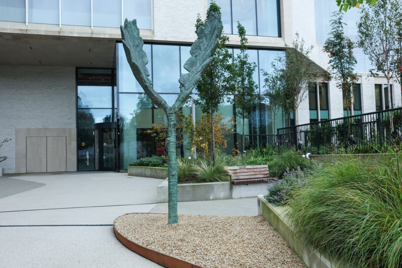 Beatha Unveiling at RCSI 